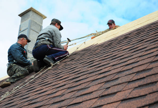Best Local Roofing Companies  in St George, UT